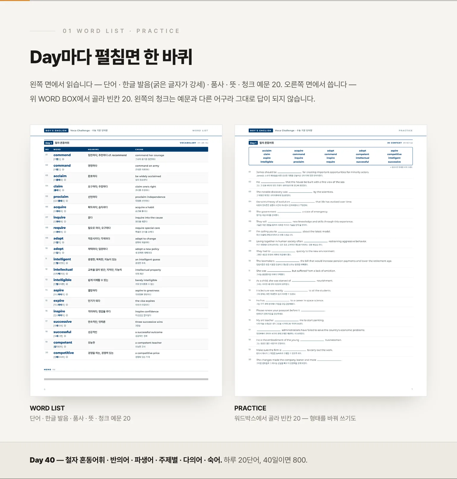 Day 펼침면 — WORD LIST · PRACTICE
